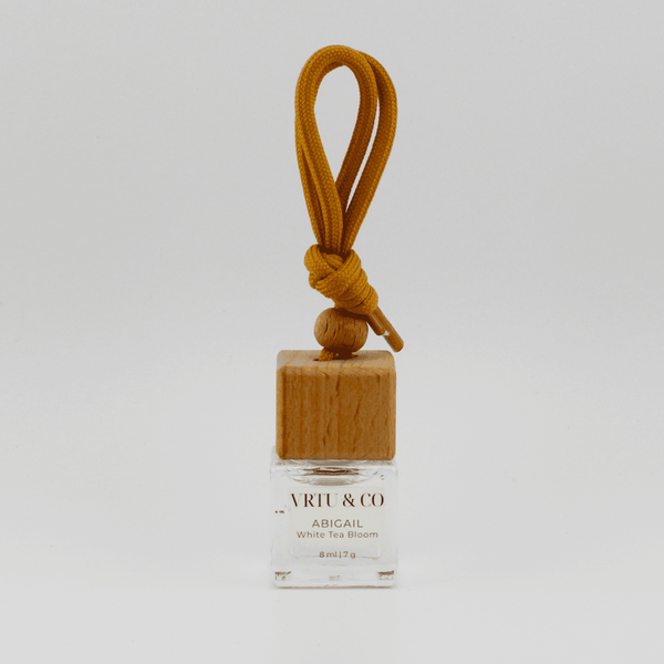 ABIGAIL —THE JOURNEY DIFFUSER